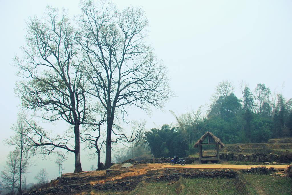 סא פה Freedom Homestay & Trekking מראה חיצוני תמונה